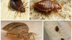 Jak i gdzie łóżeczko?